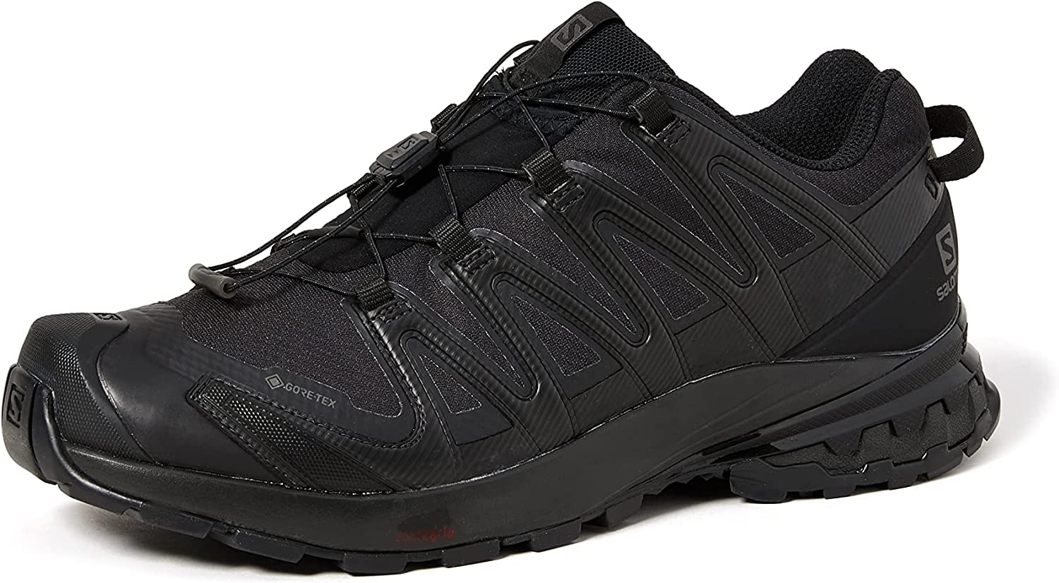 Salomon Men's XA PRO 3D V8 Gore-TEX Trail Running Shoes