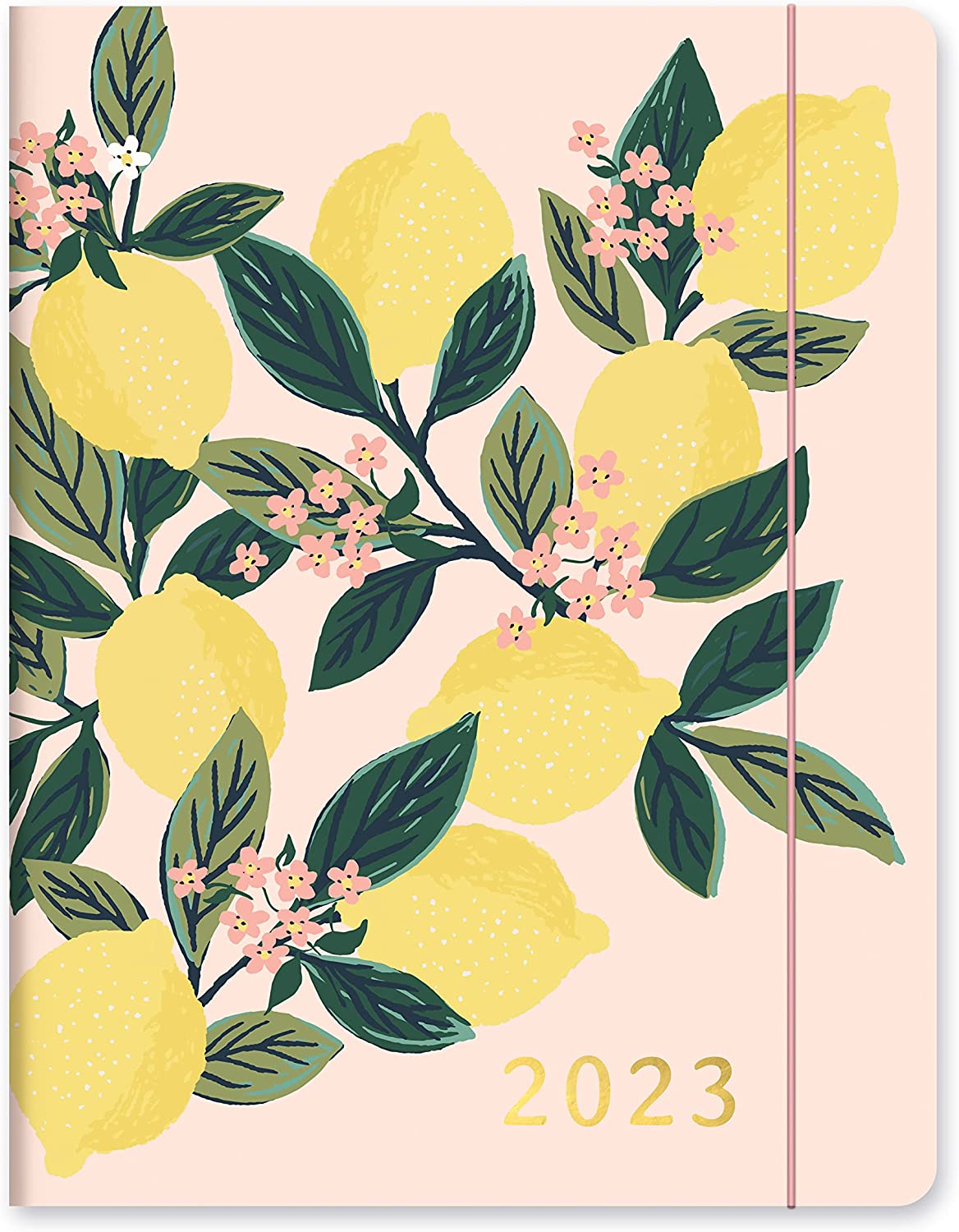 Orange Circle Studio Just Right  Monthly Planner - 17-Month Organizer with Full-Color Monthly Views, Storage Pocket & Elastic Closure - Lemon Tree