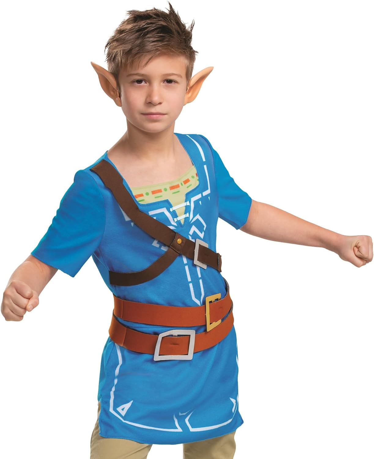 Disguise Link Breath of the Wild Classic Kids Costume