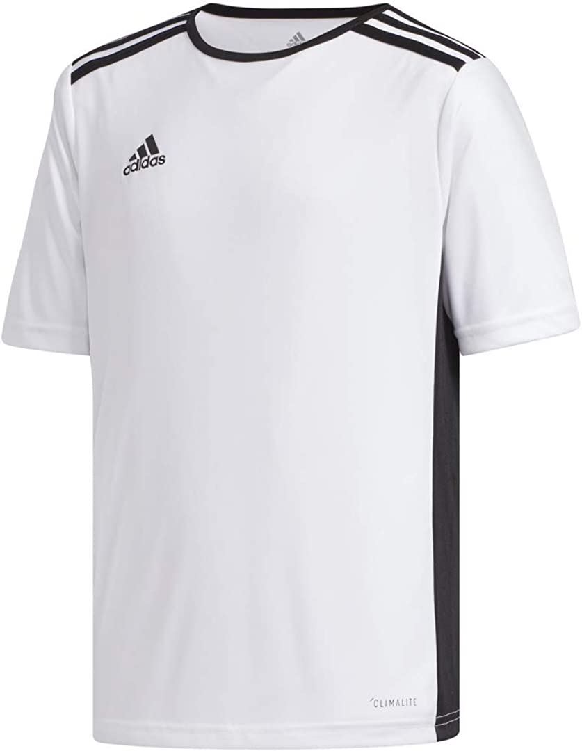 adidas Boy's Entrada 18 Jersey