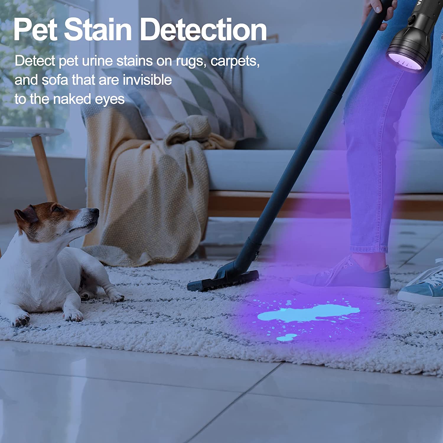 UV Flashlight Black Light, Vansky 51 LED Blacklight Pet Urine Detector for Dog/Cat Urine, Dry Stains, Bed Bug, Matching with Pet Odor Eliminator