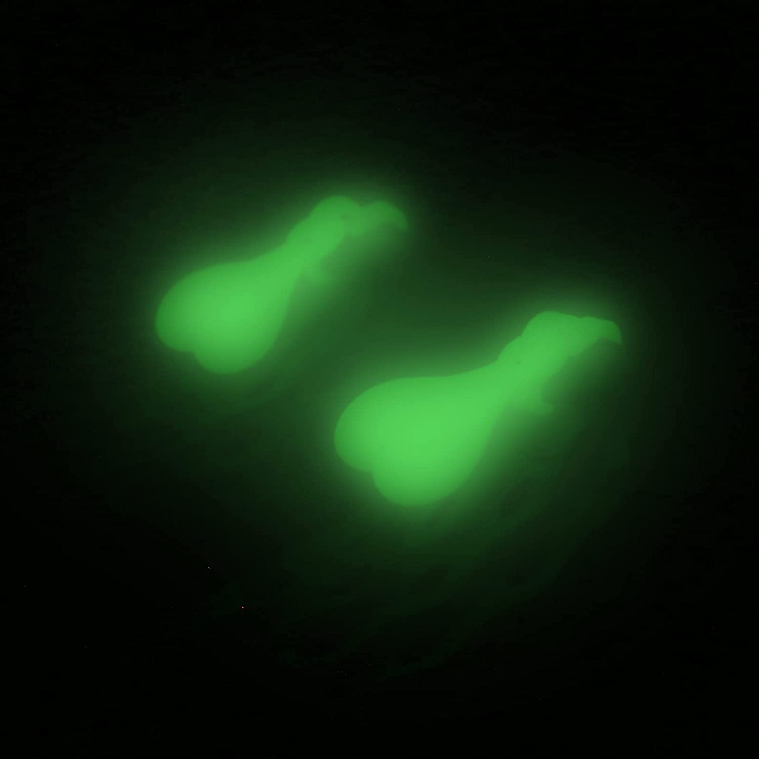 1 Pair Glow in the Dark Croc Balls， Shoe Croc Accessories，Clips Croc Balls，Croc Nuts For Shoes，Shoe Decoration Charms Balls for your Crocs，Ideal Decorative Shoe Buckle Gift for Friend Gifts